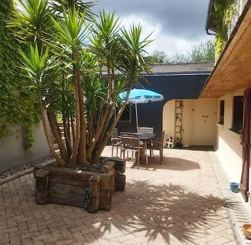 Plain-Pied T1 Patio Et Jardin