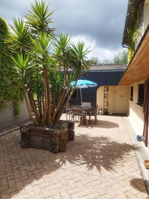 Plain-pied T1 Patio Et Jardin